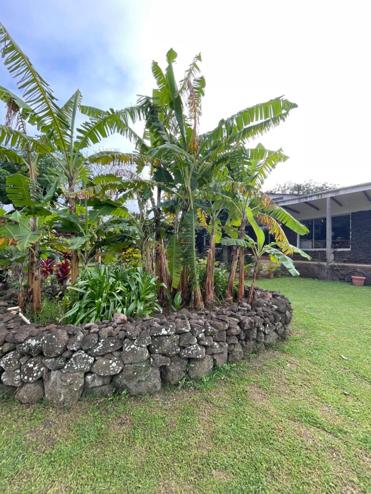 Hotel Chez Maria Goretti Hanga Roa Exterior photo